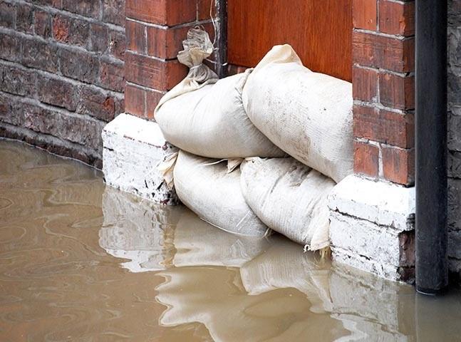 Puroclean First Response: Service Image-0 Puroclean First Response: Service Image-0